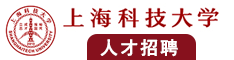 看日逼逼视频